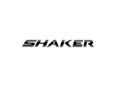 Underhood SHAKER Script Decal (08-23 Challenger)