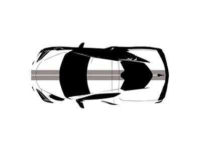 Front to Back Dual Stripes; Gloss Silver (20-25 Corvette C8)