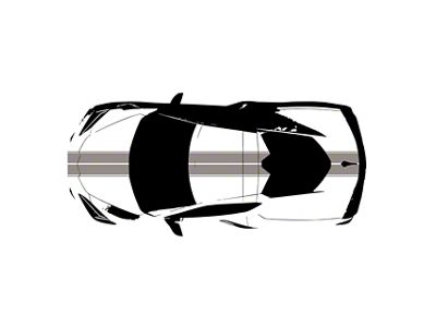 Front to Back Dual Stripes; Gloss Silver with Gloss Silver Pinstripes (20-25 Corvette C8)