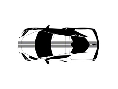 Front to Back Dual Stripes; Matte Gray with Matte Gray Pinstripes (20-25 Corvette C8)