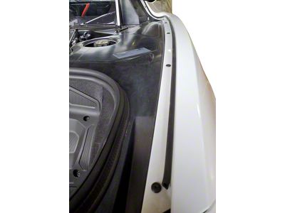 Hatch/Engine Bay Clean Seals (20-25 Corvette C8)
