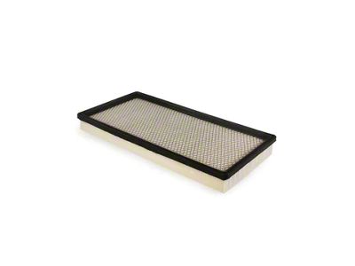 Air Filter (98-02 Camaro)