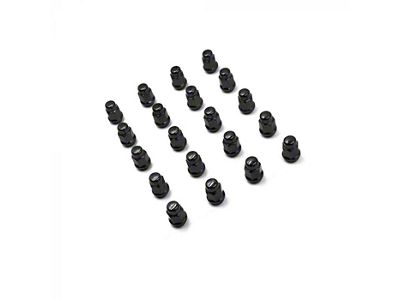 Black Acorn Lug Nut Kit; 3/4-Inch; Set of 20 (10-24 Camaro)