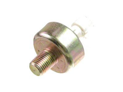 Ignition Knock Sensor Kit (96-02 3.8L Camaro)