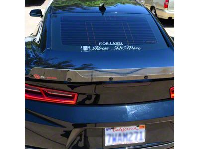 Wicker Bill; Dark Tint (16-24 Camaro w/ RS Rear Spoiler)