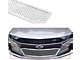 Wire Mesh Lower Grille; Chrome (14-15 Camaro SS)