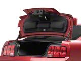 Detail Corral (05-09 Mustang)