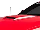 Cervini's M1 Hood Scoop; Unpainted (05-09 Mustang GT, V6)
