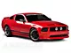 Cervini's Concept Hood; Unpainted (05-09 Mustang GT, V6)