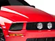 Cervini's 4-Inch Cowl Hood; Unpainted (05-09 Mustang GT, V6)