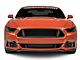 Cervini's C-Series Lower Grille (15-17 Mustang GT, EcoBoost, V6)