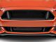 Cervini's C-Series Upper Grille (15-17 Mustang GT, EcoBoost, V6)