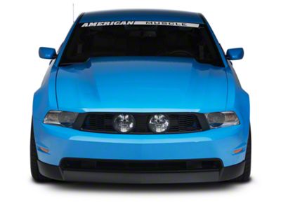 Cervini's Cobra R Style Hood; Unpainted (10-12 Mustang GT, V6)