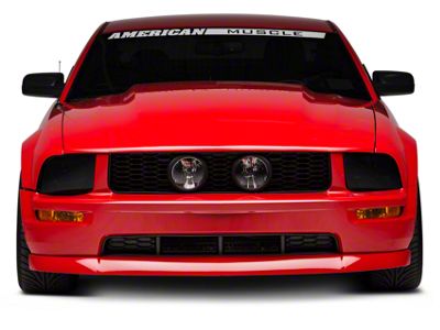 Cervini's Cobra R Style Hood; Unpainted (05-09 Mustang GT, V6)