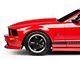 Cervini's Cobra R Style Hood; Unpainted (05-09 Mustang GT, V6)
