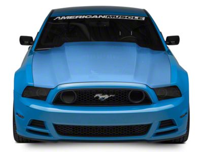 Cervini's Cobra R Style Hood; Unpainted (13-14 Mustang GT, V6)