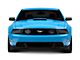 Cervini's GT/CS Chin Spoiler Splitter with Fog Lights; Fine Textured Black (10-12 Mustang GT, BOSS 302)