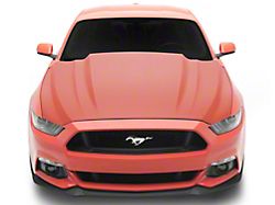 Cervini's Cobra R Style Hood; Unpainted (15-17 Mustang GT, EcoBoost, V6)