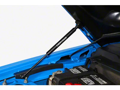 Cervini's Hood Struts (05-14 Mustang)