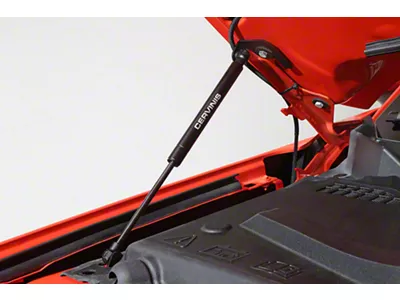 Cervini's Hood Struts (15-23 Mustang)