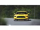 Cervini's Stalker Front End Conversion (15-17 Mustang GT, EcoBoost, V6)