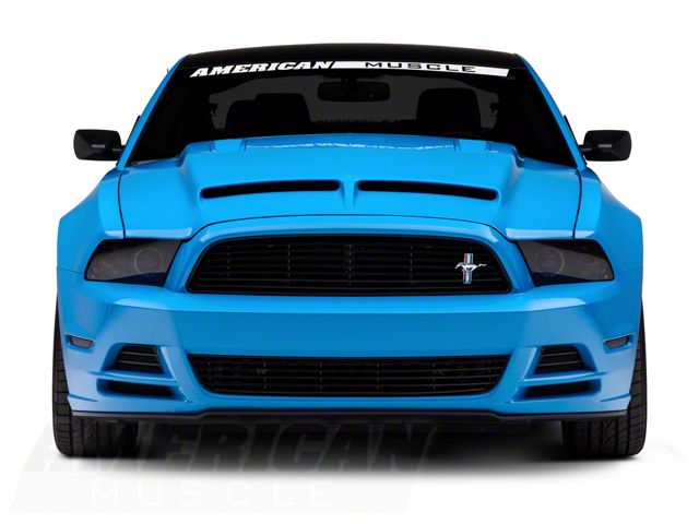 Cervini's Type IV Ram Air Hood; Unpainted (13-14 Mustang GT, V6)