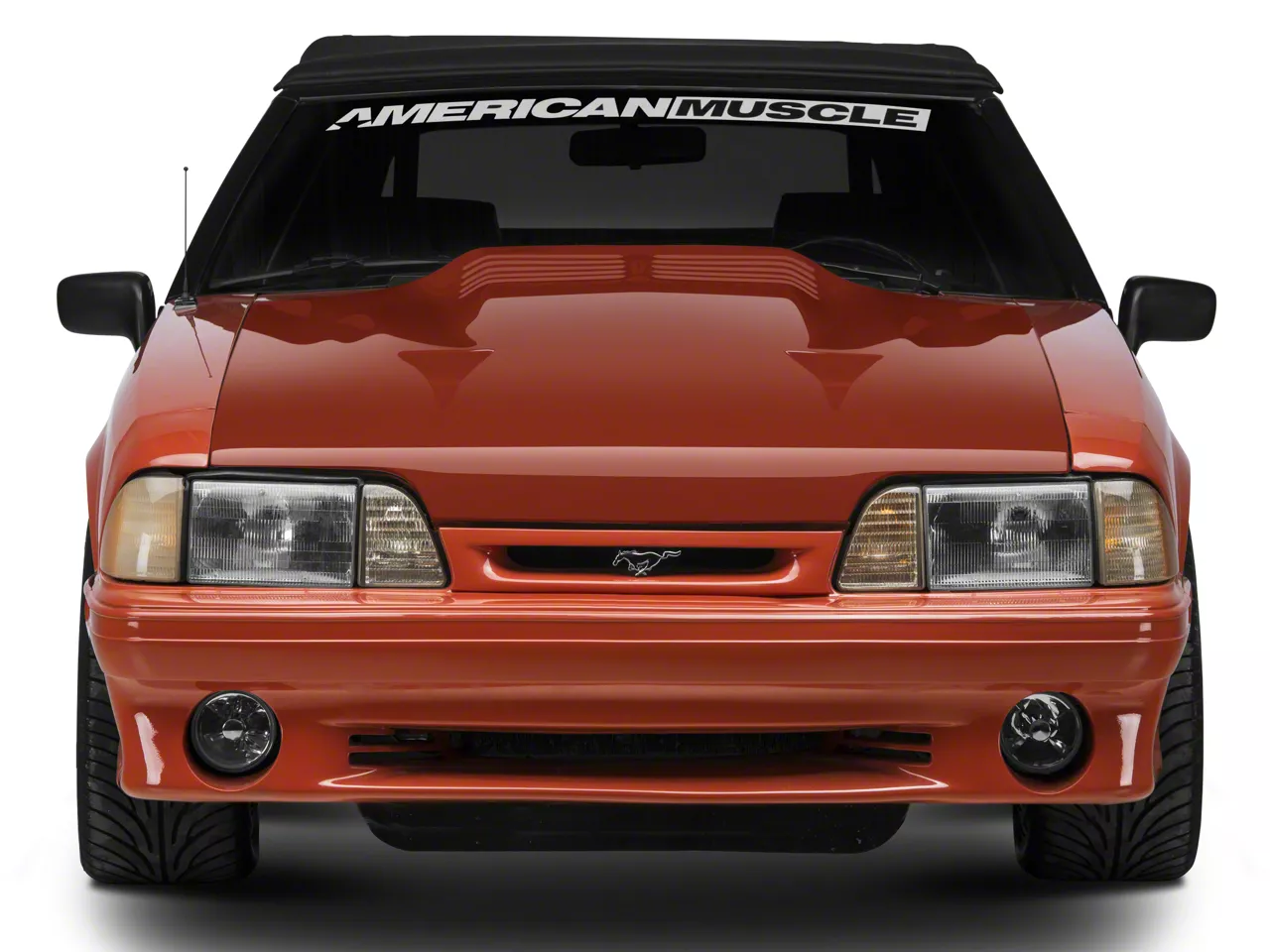 house on the hill  stripeズボン　bonnet Cervini's Mustang Twin Turbo Hood; Unpainted 107 (87-93