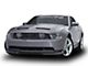 Cervini's Type IV Chin Spoiler; Unpainted (10-12 Mustang GT)