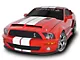 Cervini's Type IV Ram Air Hood Stripes (07-09 Mustang GT500)