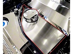 Anti-Lock Brake/Washer Fluid Cover with Brushed Top Plate; Polished (15-23 Challenger)