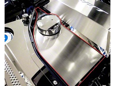 Anti-Lock Brake/Washer Fluid Cover with Brushed Top Plate; Polished (15-23 Challenger)