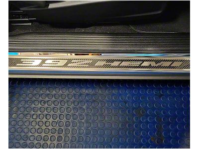 Carbon Fiber Door Sills with 392 HEMI Lettering; Brushed (15-23 Challenger)