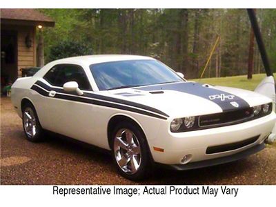 Dual Side Stripes; Silver Grey (08-10 Challenger)