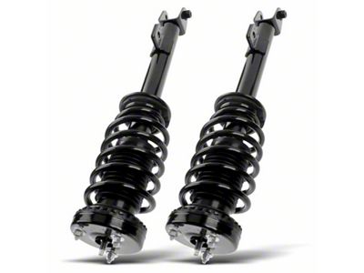 Front Strut Assemblies (09-10 3.5L Challenger w/o Performance Suspension)