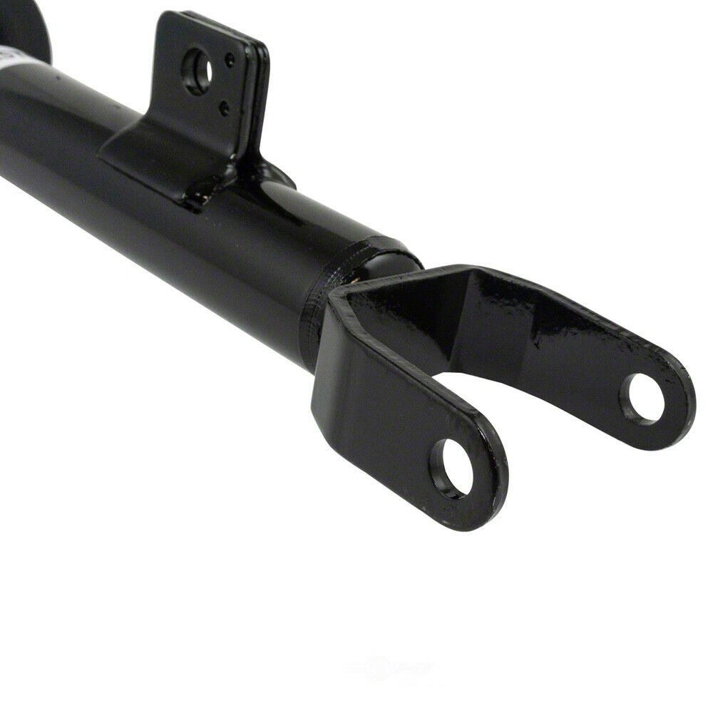 ダッチ チャレンジャー RT 純正スプリング Challenger Front Struts (12-19 RWD Challenger R/T) - Free Shipping