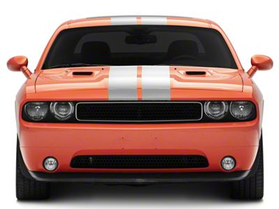 SEC10 Full Length Stripes; Silver; 8.50-Inch (08-23 Challenger)