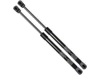 2Pcs Rear Trunk Lid Tailgate Lift Support Shock Strut For 08-19