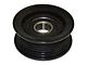 Idler Pulley; Ribbed (11-23 3.6L Challenger)