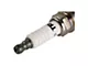 Iridium Spark Plugs; 16-Piece (09-19 5.7L HEMI Challenger)