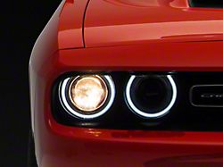 OEM Style Headlight with LED DRL; Driver Side; Black Housing; Clear Lens (15-23 Challenger w/ Factory Halogen Headlights)