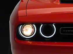 OEM Style Headlight with LED DRL; Passenger Side; Black Housing; Clear Lens (15-23 Challenger w/ Factory Halogen Headlights)