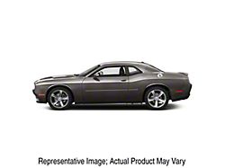 Painted Body Side Molding; Atomic Silver Metallic (08-23 Challenger, Excluding Widebody)