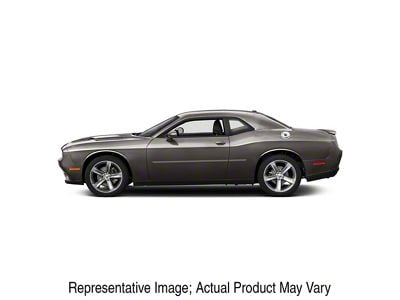 Painted Body Side Molding; Atomic Silver Metallic (08-23 Challenger, Excluding Widebody)