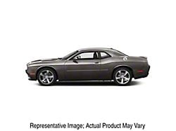Painted Body Side Molding; Bright Silver (08-23 Challenger, Excluding Widebody)