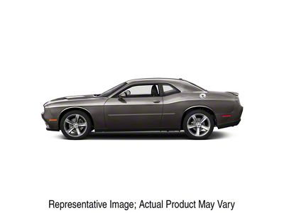 Painted Body Side Molding; Bright Silver (08-23 Challenger, Excluding Widebody)