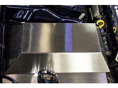 Perforated Fuse Box Cover; Brushed (15-23 Challenger)