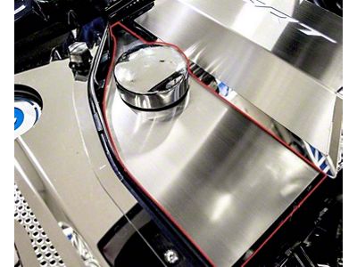 Polished Anti-Lock Brake/Washer Fluid Cover with Brushed Top Plate (15-23 Challenger)