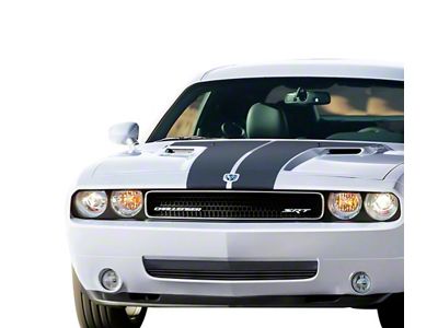 Stainless Steel Billet Lower Grille; Black (08-10 Challenger)