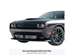 Stainless Steel Billet Lower Grille Overlay; Polished (15-23 Challenger w/ Adaptive Cruise Control, Excluding Widebody)