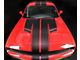 Top Double Stripes Pinstriping; Gloss Black (15-18 Challenger)